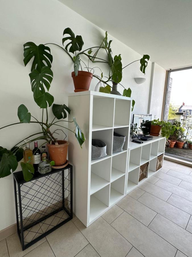 Bright And Airy Islington Apartment London Ngoại thất bức ảnh